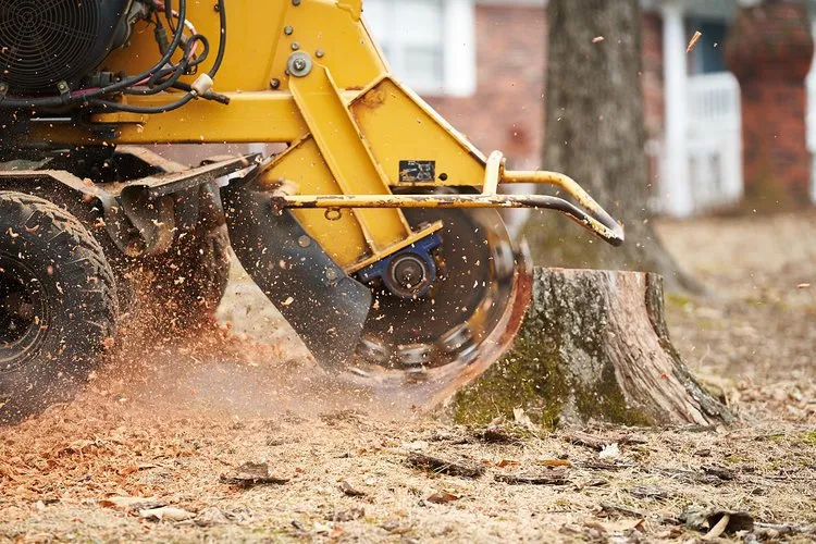 Stump Grinding